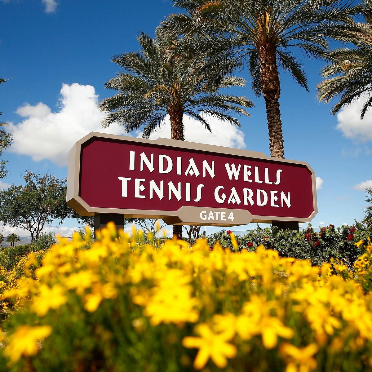 Tenis: Así va el cuadro masculino del Masters 1.000 ATP de Indian Wells 2024